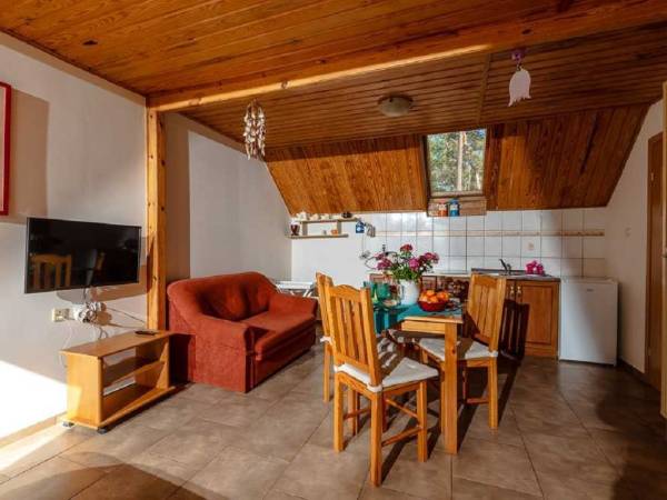 apartament drewniany dwupoziomowy 4/5 osobowy