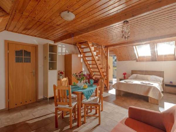 apartament drewniany dwupoziomowy 4/5 osobowy