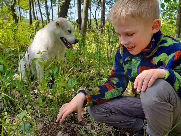 Agroturystyka przy Stajni - apartament i pokoje