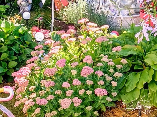 Willa Małgośka 2 noclegi