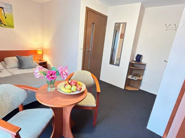 pokoj nr 2,z balkonem