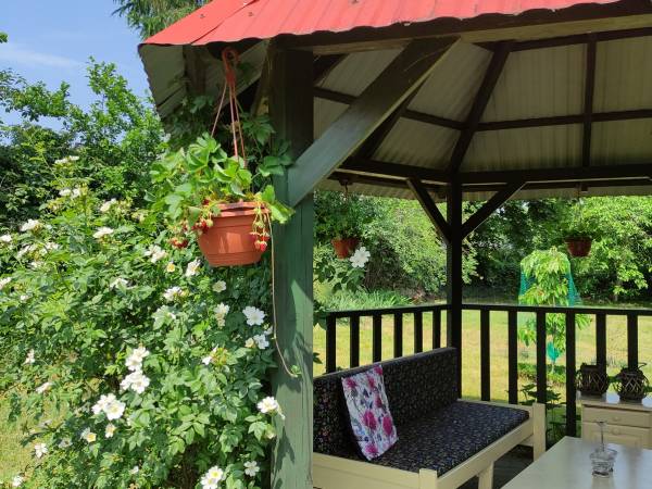 Domek i Pokoje Wilkasy