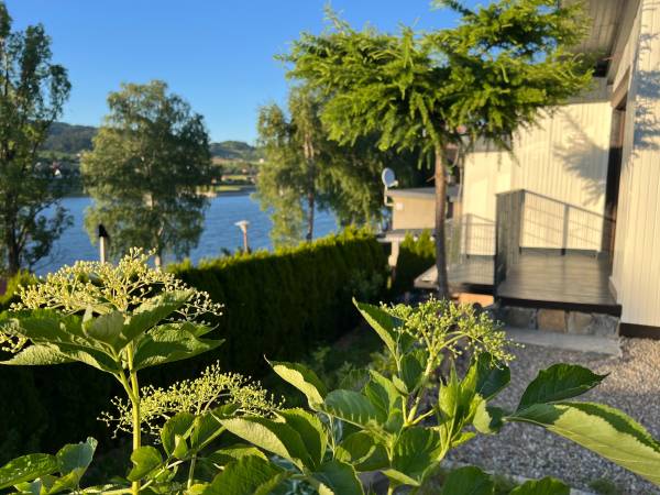 Pokoje i Domki Pod Wierzbą