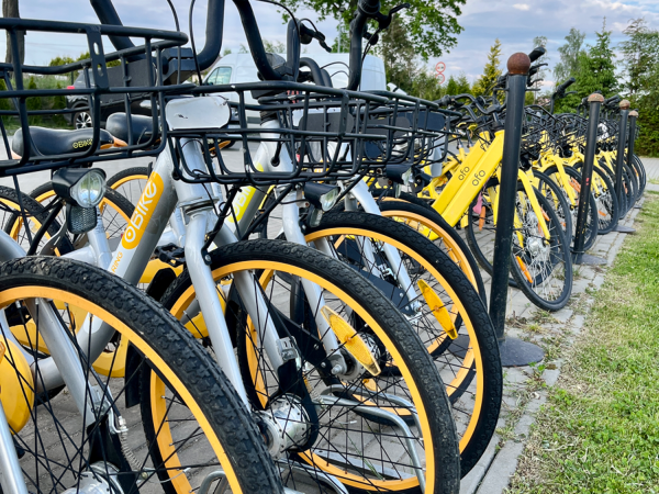 Słonecznikowa Dolina