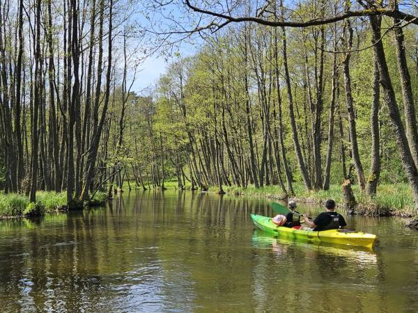 Osada nad Wdą - okolica