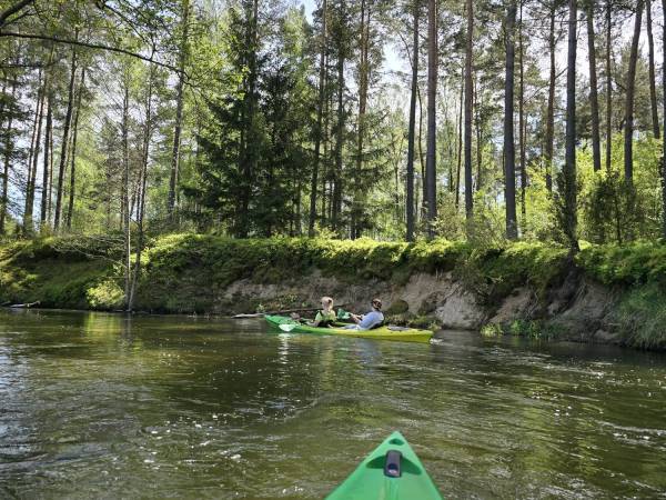Osada nad Wdą - okolica