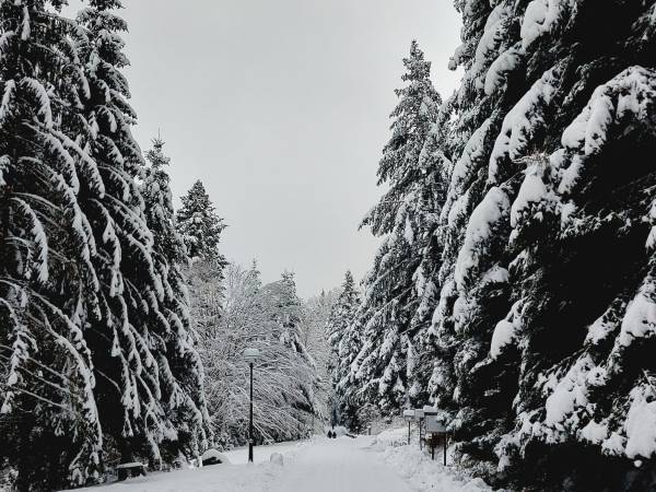 Apartamenty Defala i Strefa Relaksu Natural Touch 