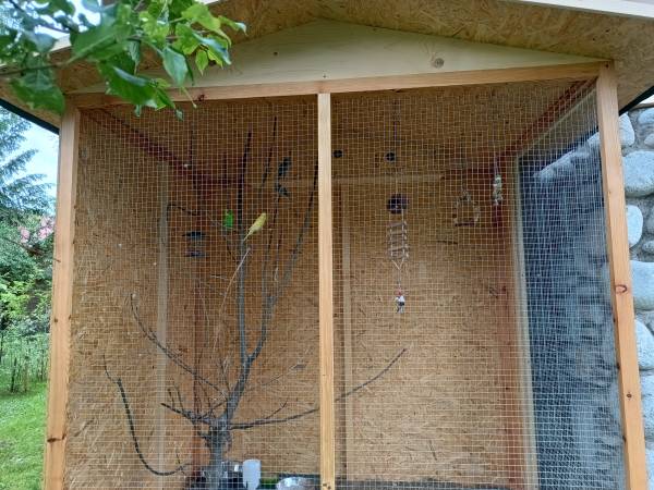 Woliera z papugami w ogrodzie:)