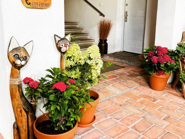 Pokoje Gościnne Pod Świerkami