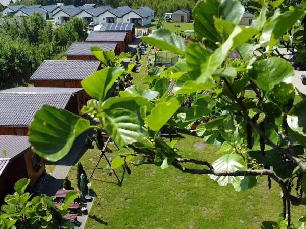 Domki letniskowe Wikar 