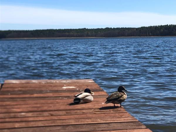 Pomost jezioro Bełdany