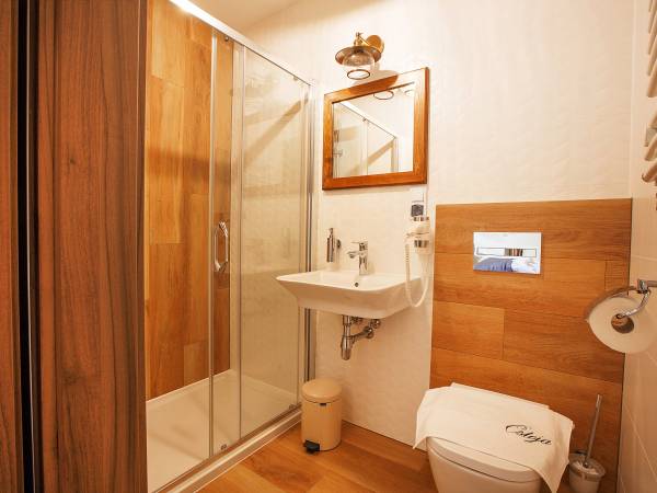  Willa Ostoja &Willa Ostoja Wellness 