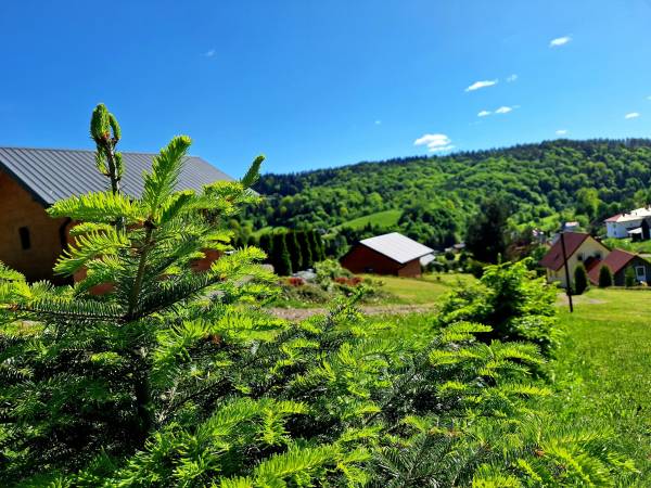 Domki na górze widokowej Plisz