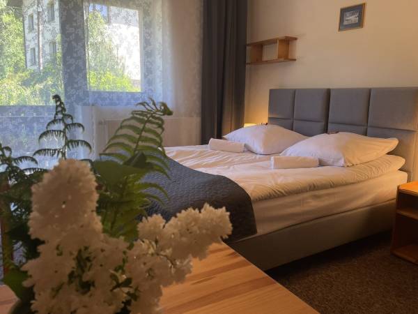 Sasanka przy Gondoli