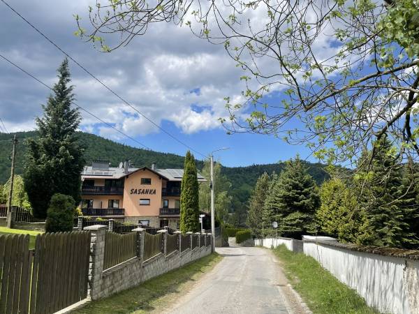 Sasanka przy Gondoli