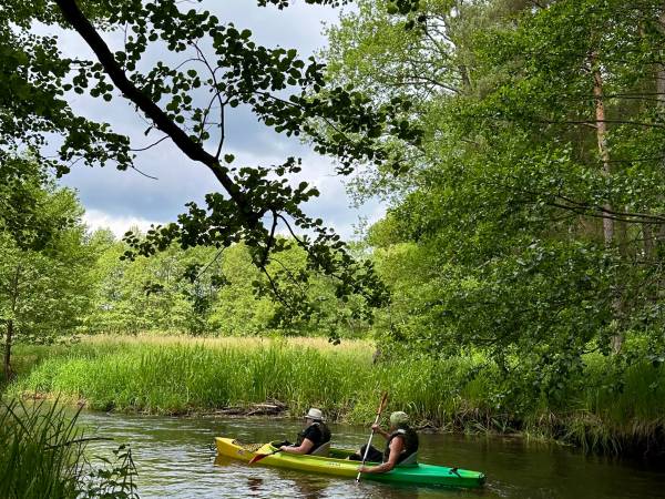 Agroturystyka Pod Lasem