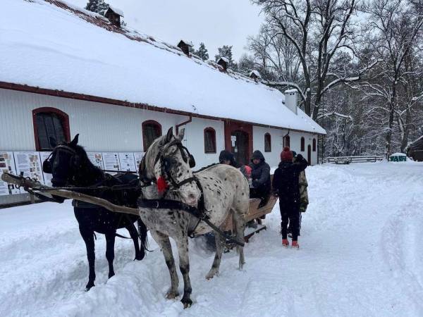 Agroturystyka Pod Lasem