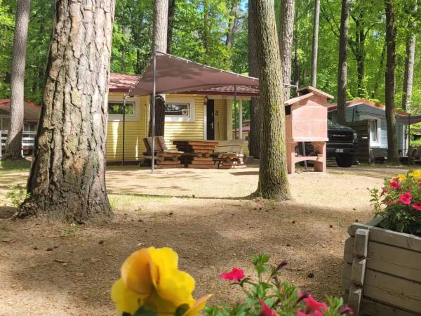 Grill przy każdym domku