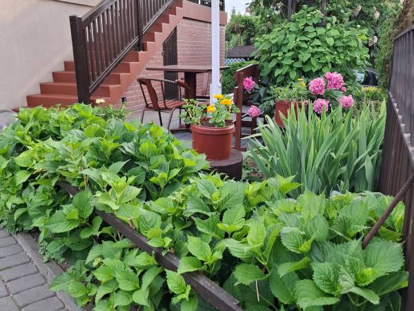 Pokoje Gościnne Kos