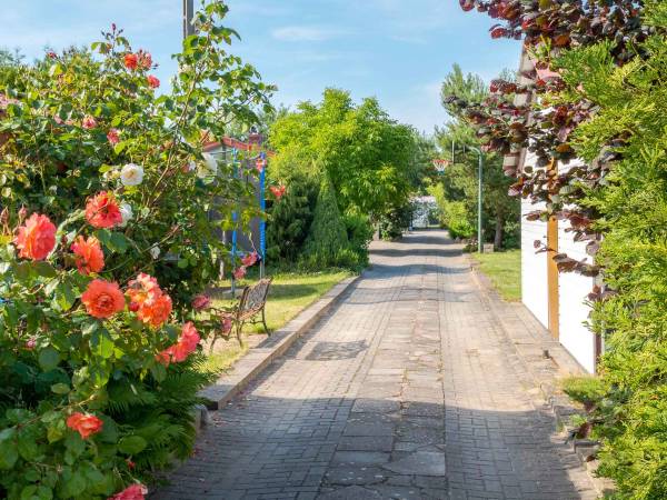 Domki letniskowe EL-DAR