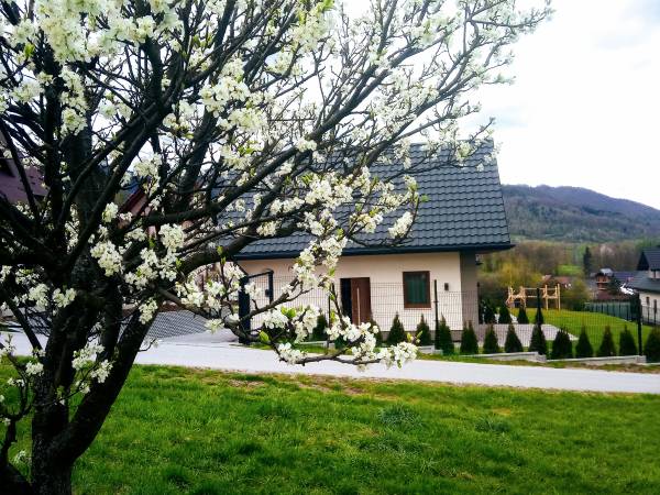 Zielone Zacisze Domki w Górach