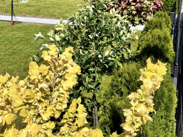  Domki i Apartamenty La Cubita