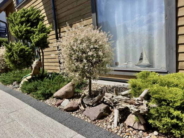  Domki i Apartamenty La Cubita