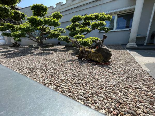 Noclegi Kwatery Prywatne Pałacyki