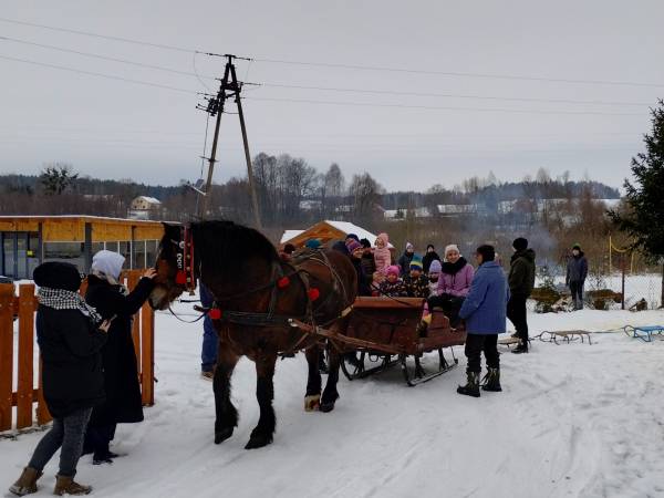 Domki z basenem całorocznym 