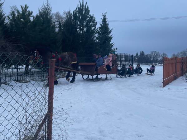 Domki z basenem całorocznym 