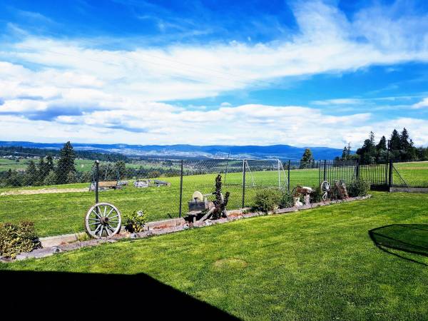 Ogród,boisko sportowe 