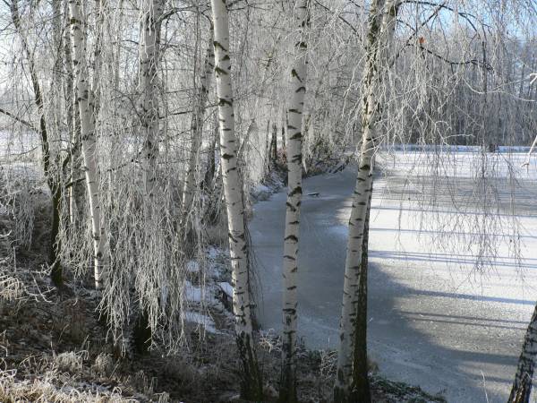 Agroturystyka w Dolinie Stawów