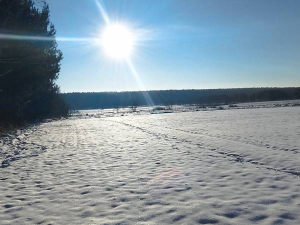 Dom Pod Lipami - Barbara i Leszek Kowalscy