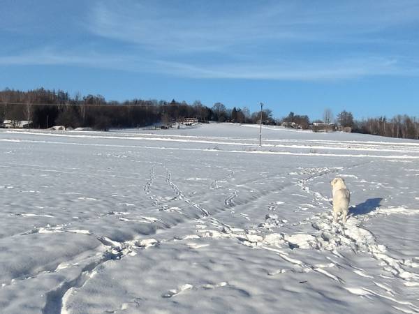 Dom Pod Lipami - Barbara i Leszek Kowalscy