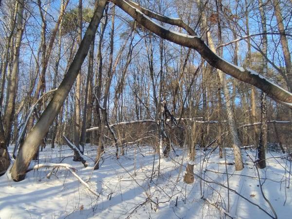 Dom Pod Lipami - Barbara i Leszek Kowalscy