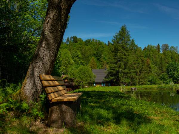 Bieszczadzka Samotnia