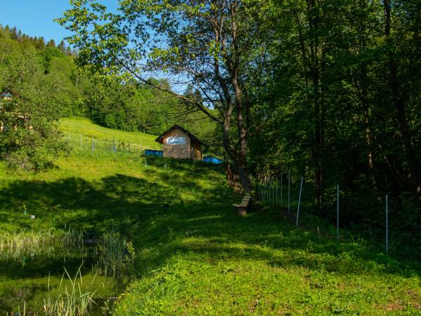 Bieszczadzka Samotnia