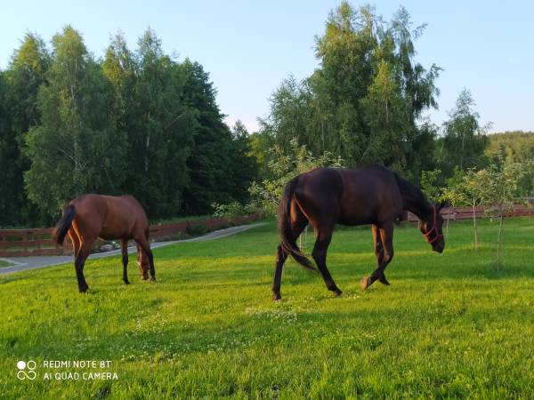 Agroturystyka Eko Zagroda