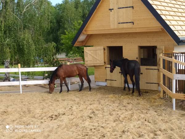 Agroturystyka Eko Zagroda