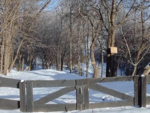 Siedlisko ,,Zenówka''