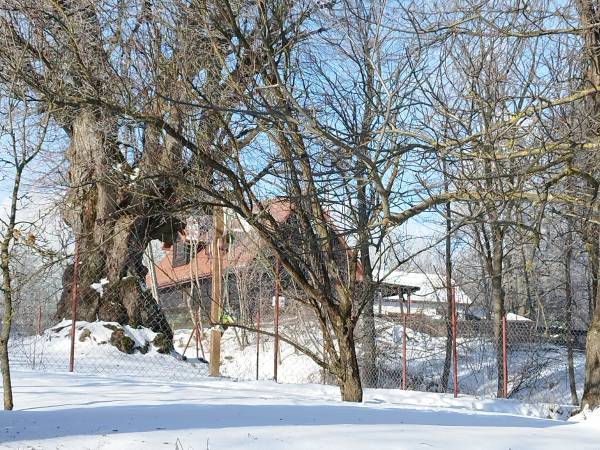 Siedlisko ,,Zenówka''