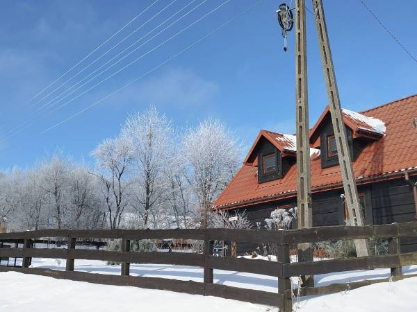 Siedlisko ,,Zenówka''