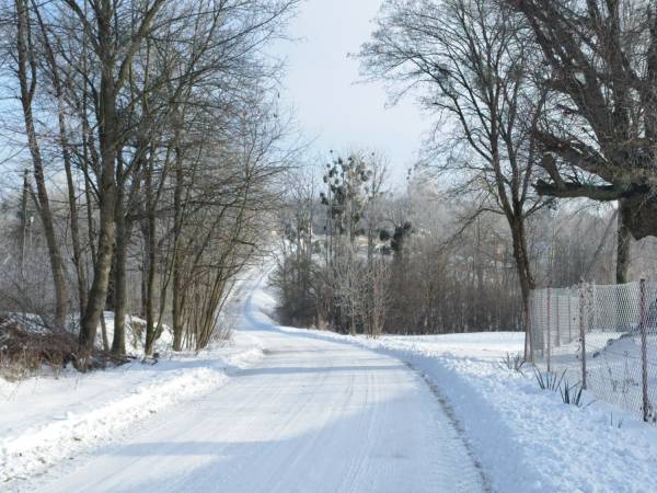 Siedlisko ,,Zenówka''