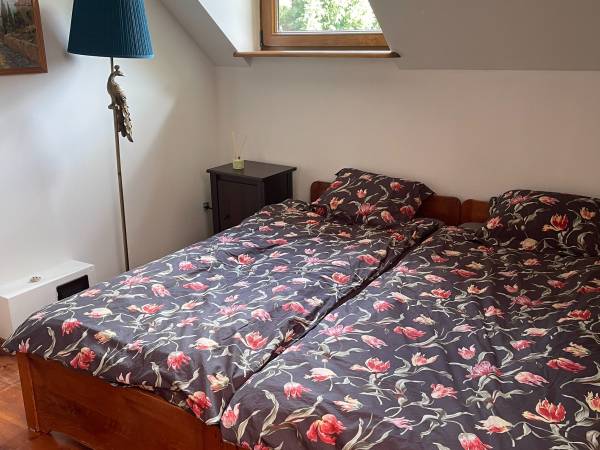 Dom w Zieleni Nad Jeziorem