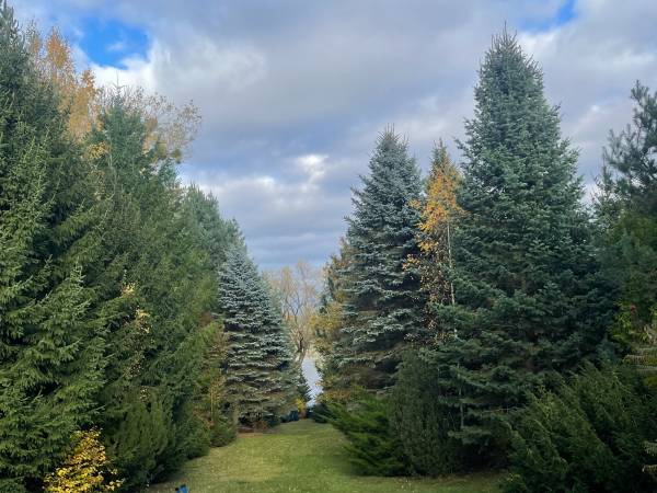 Dom w Zieleni Nad Jeziorem