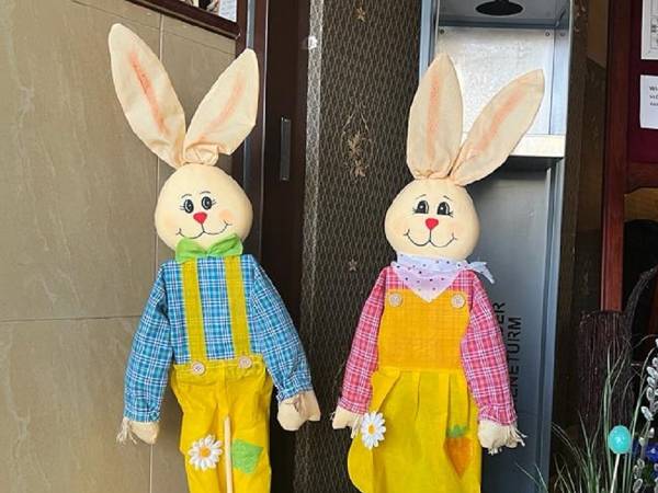 Kompleks Wypoczynkowy Sedna Domki