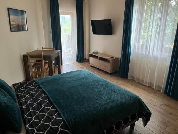 pokój z wyjściem na taras