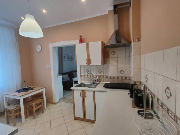 kuchnia w apartamencie na dole