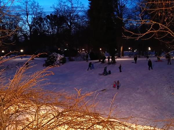 jedna z górek w Parku Miejskim 