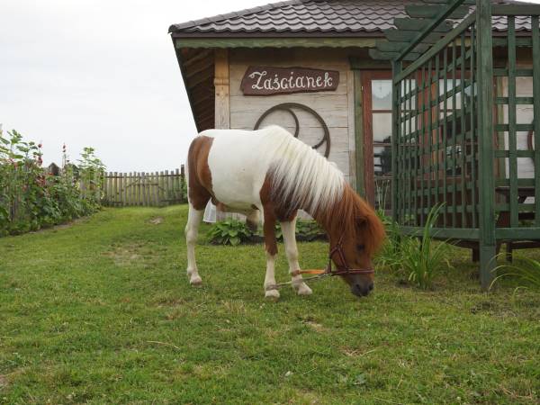 Na Górze Agroturystyka